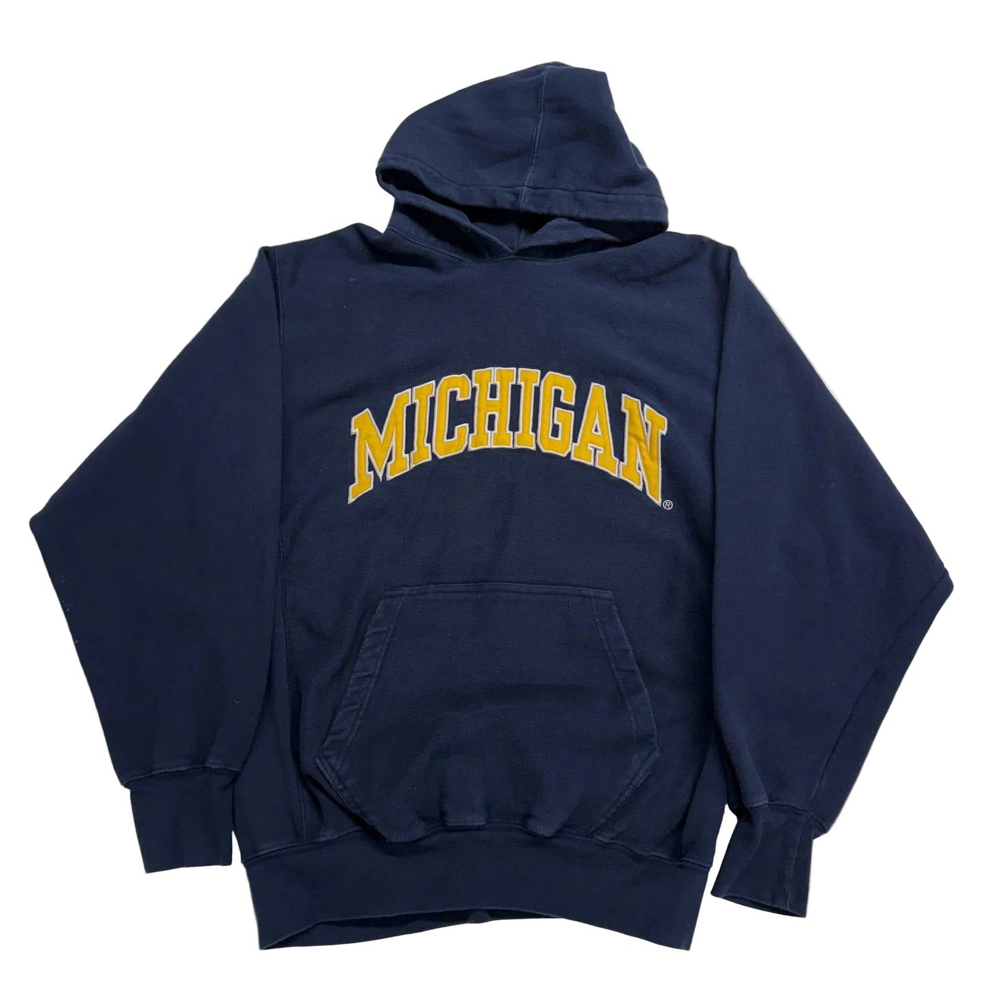 Michigan Embroidered Script Hoodie