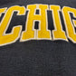 Michigan Embroidered Script Hoodie