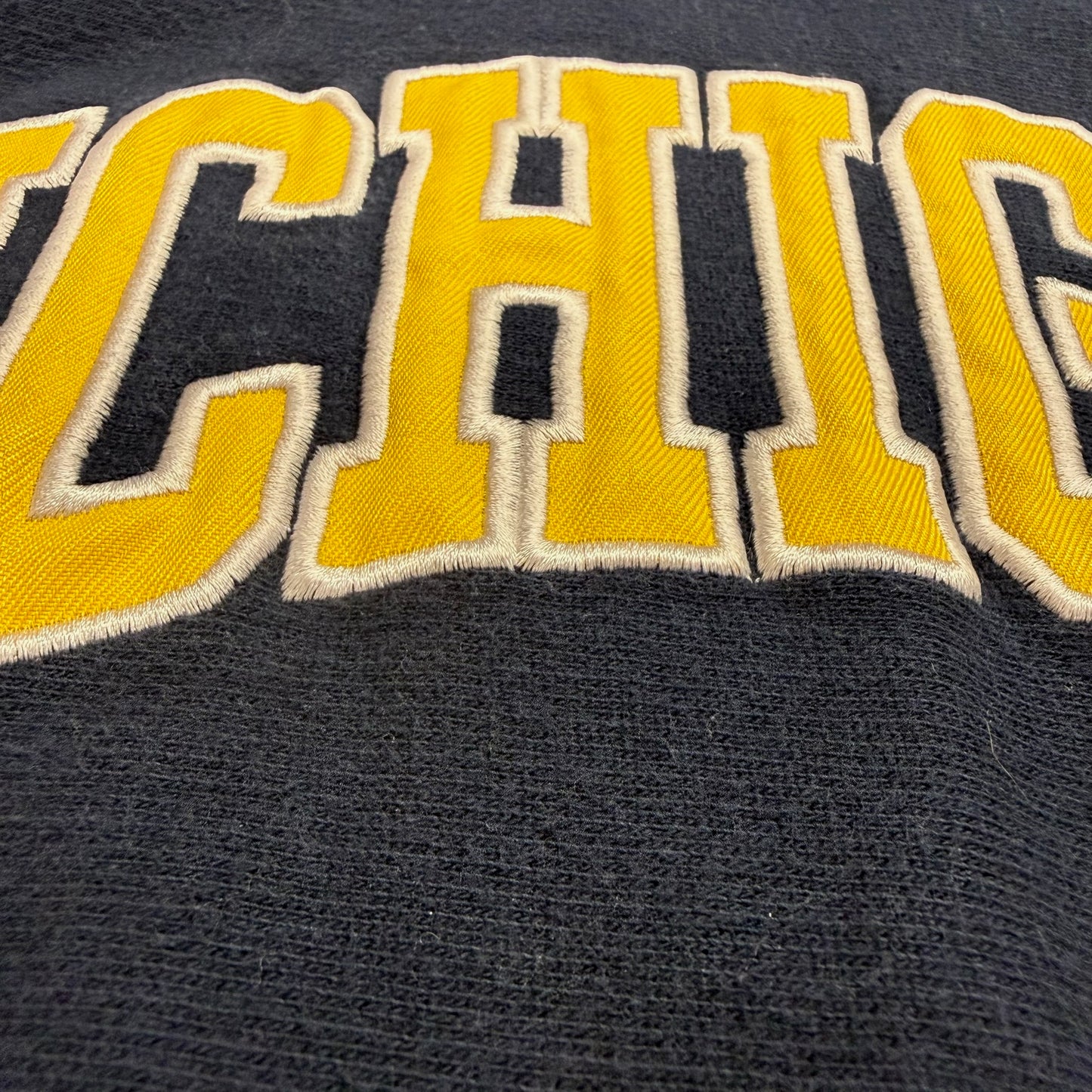 Michigan Embroidered Script Hoodie