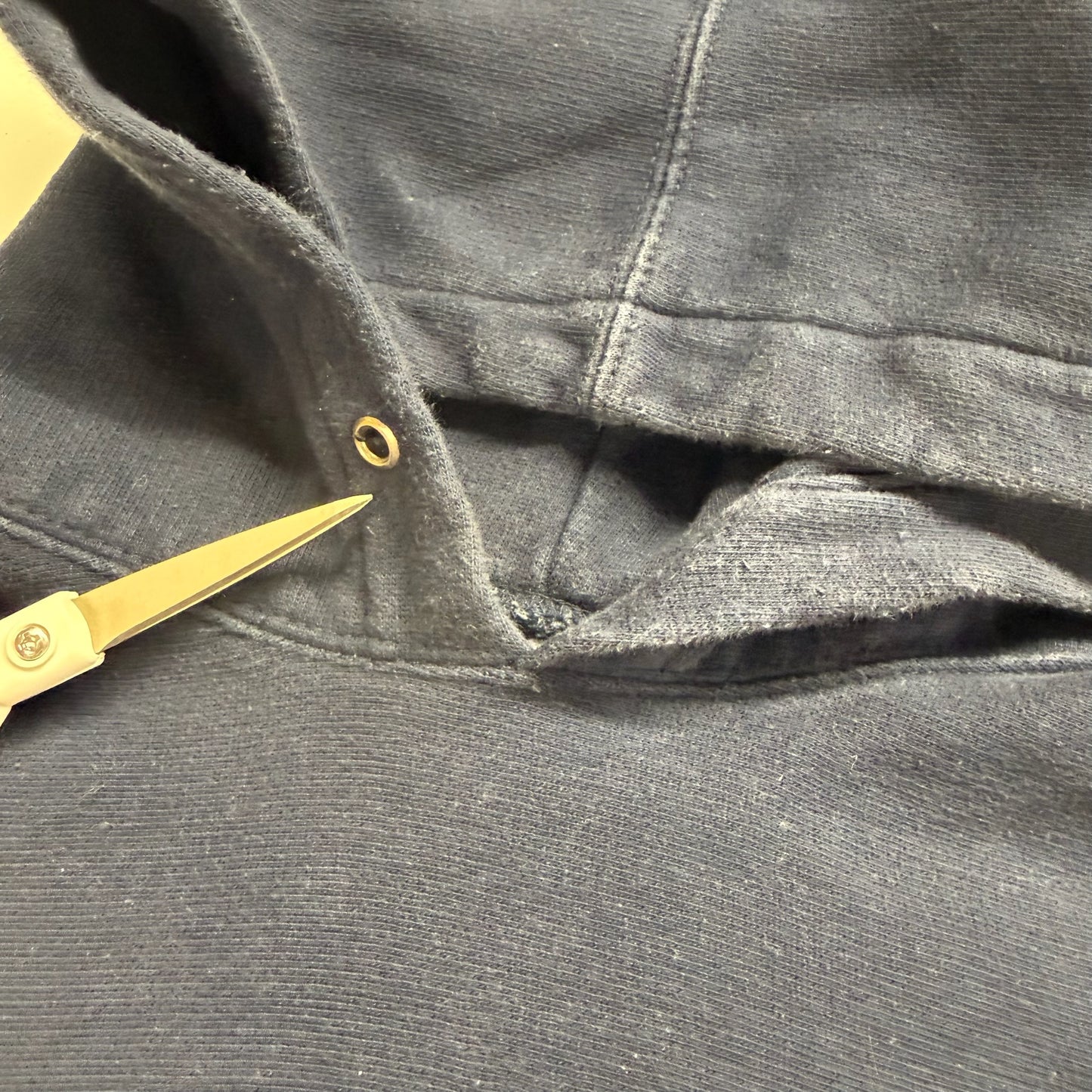Michigan Embroidered Script Hoodie