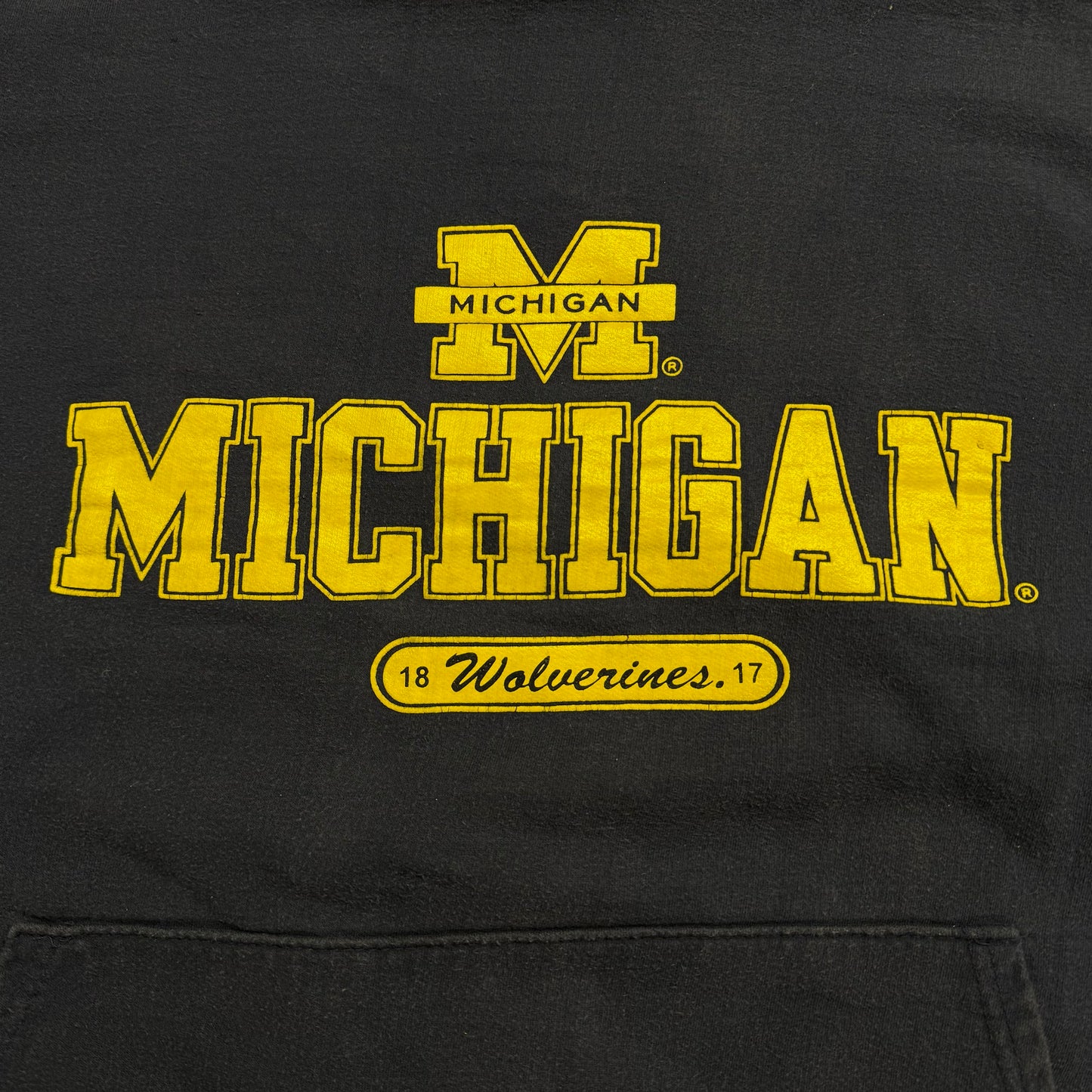 Miichigan Classic Hoodie