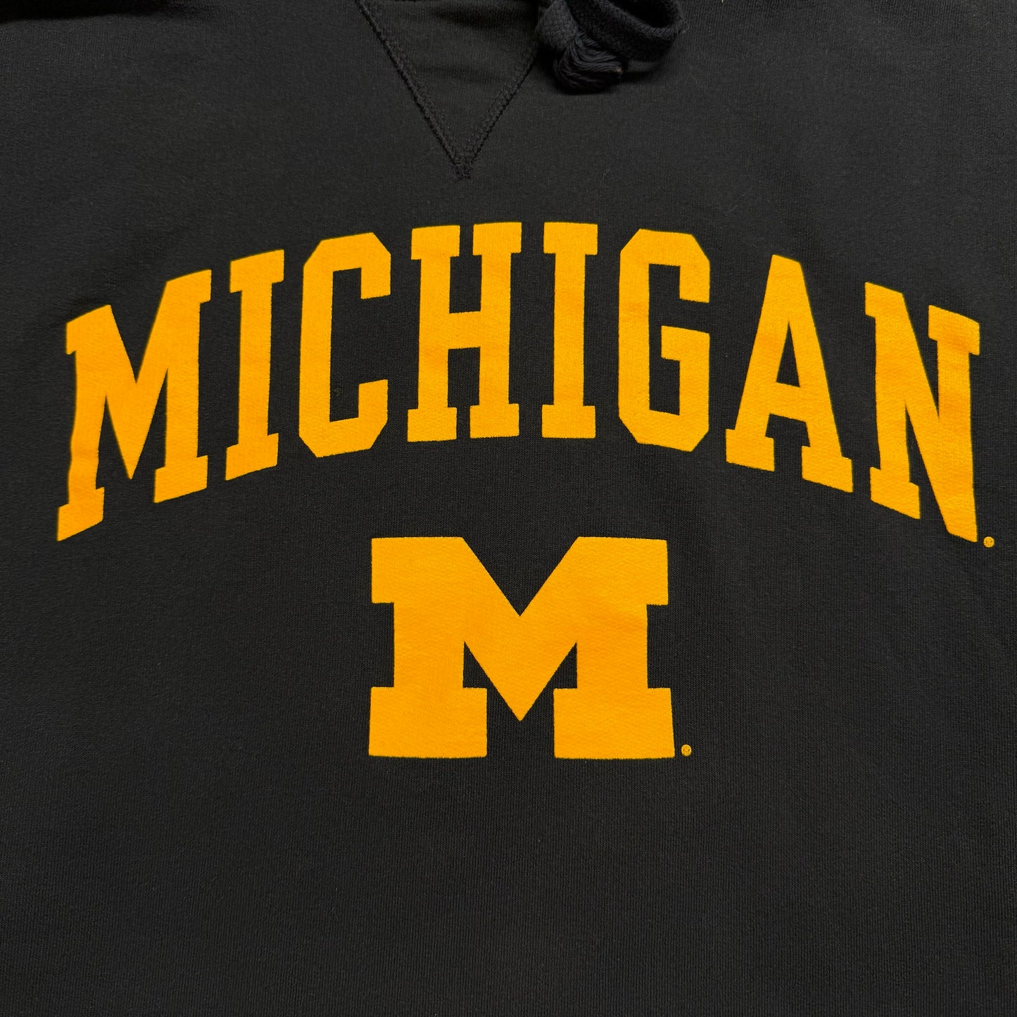 Michigan Classic Hoodie