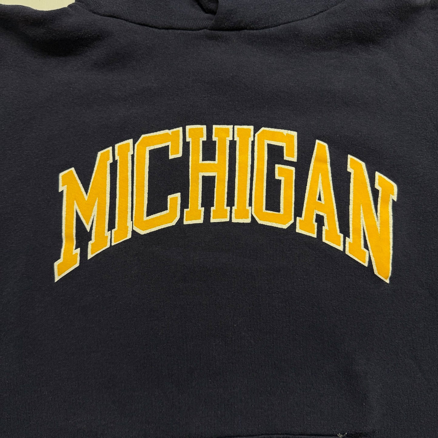 Michigan Classic Script Hoodie