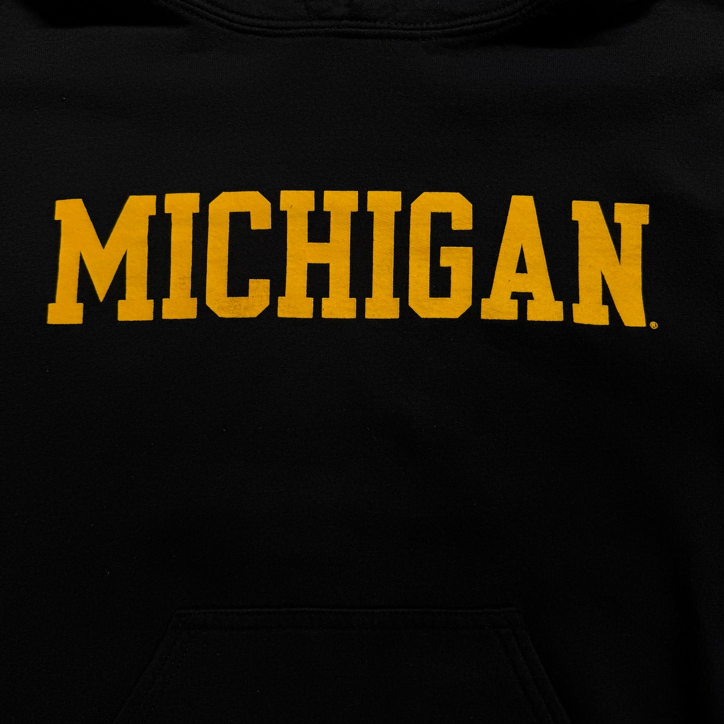 Michigan Script Hoodie