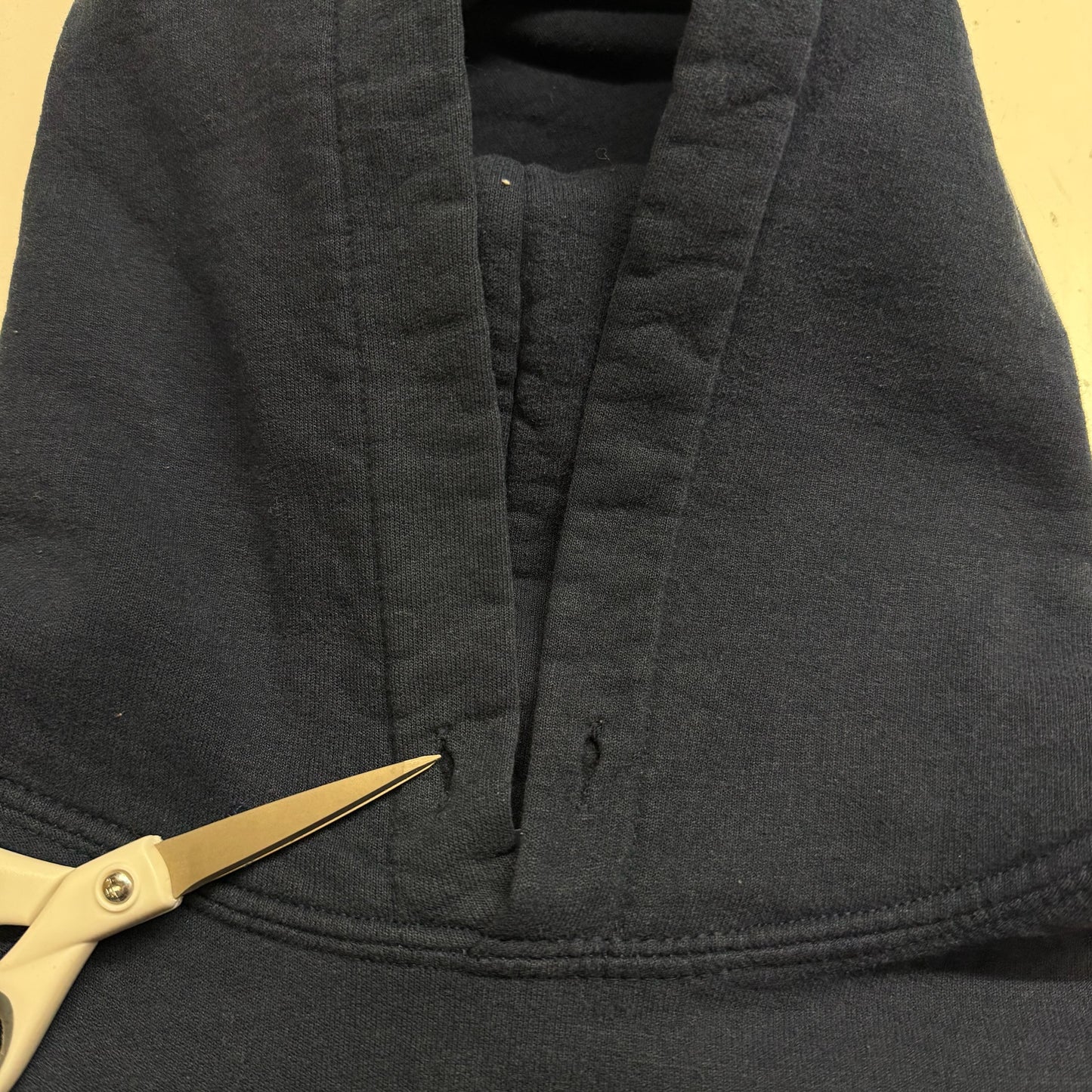 Michigan Script Hoodie