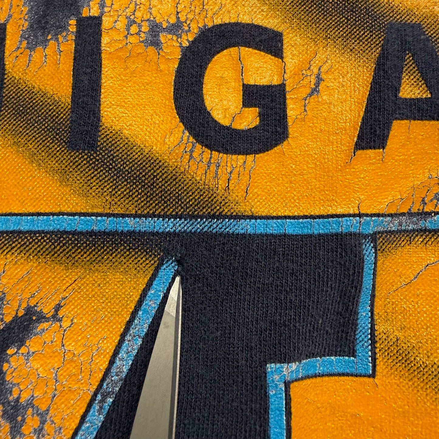Michigan Graphic Hooded T-Shirt