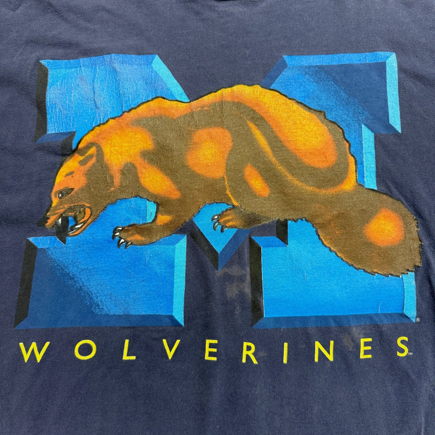 Michigan Graphic T-Shirt