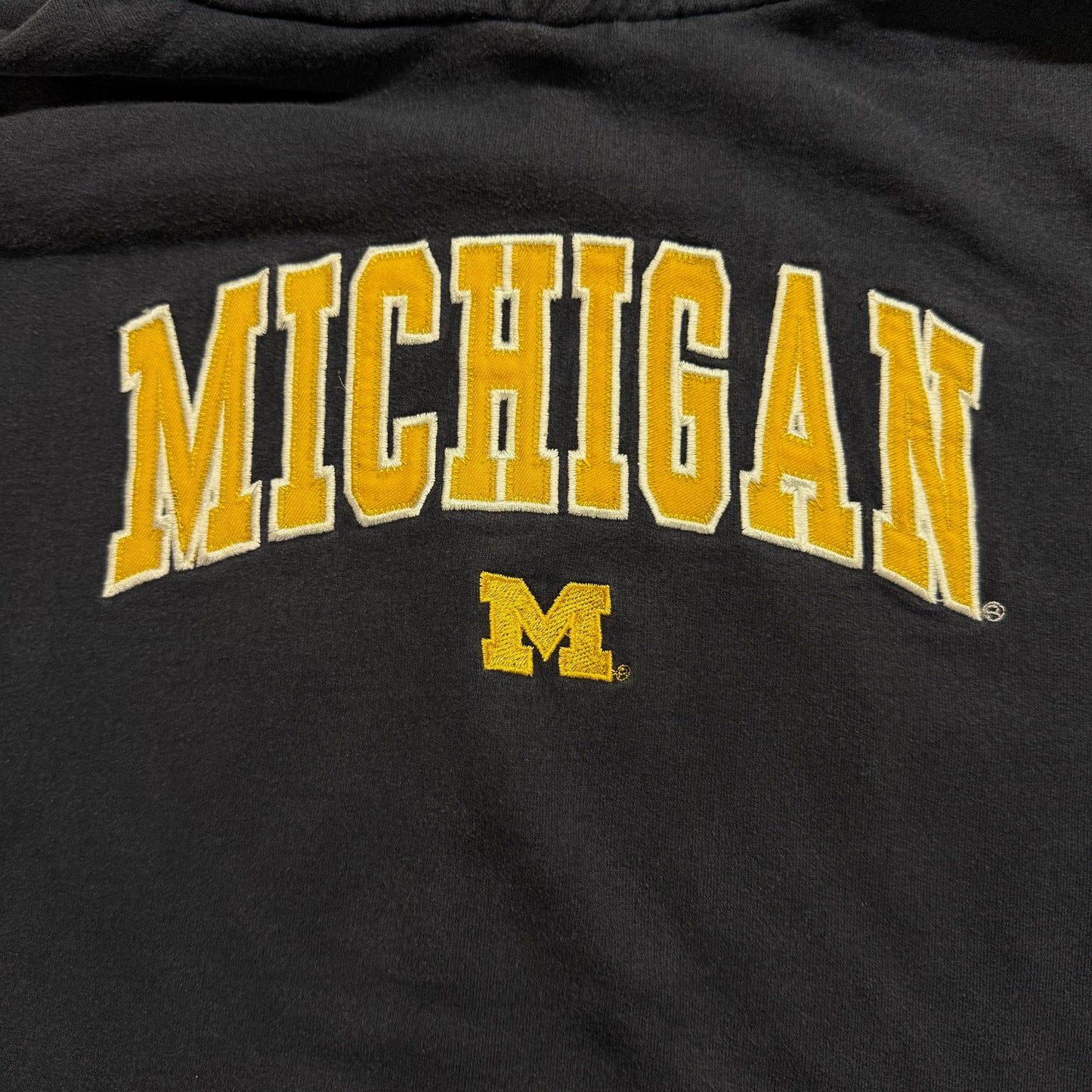 Michigan Embroidered Script & M Hoodie