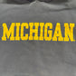 Michigan Screen Print Hoodie