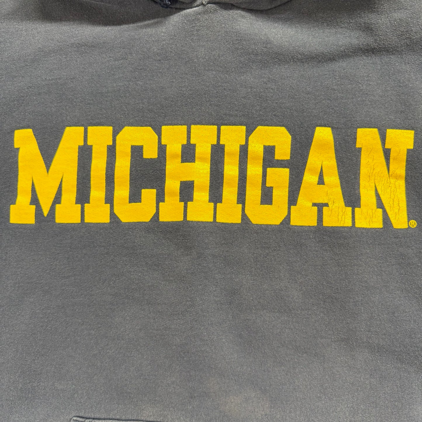 Michigan Screen Print Hoodie