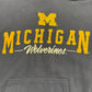 Michigan Embroidered Hoodie