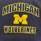 Michigan Screen Print Hoodie