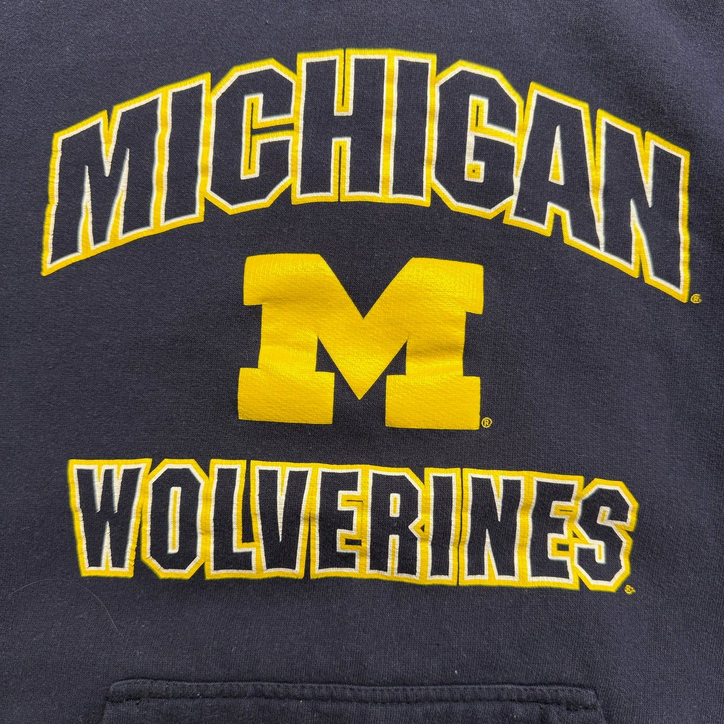 Michigan Screen Print Hoodie