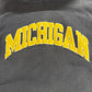 Michigan Screen Print Hoodie
