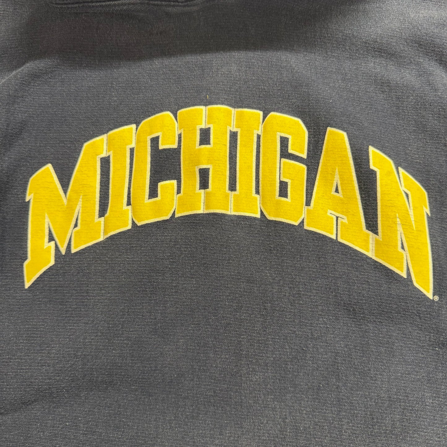 Michigan Screen Print Hoodie