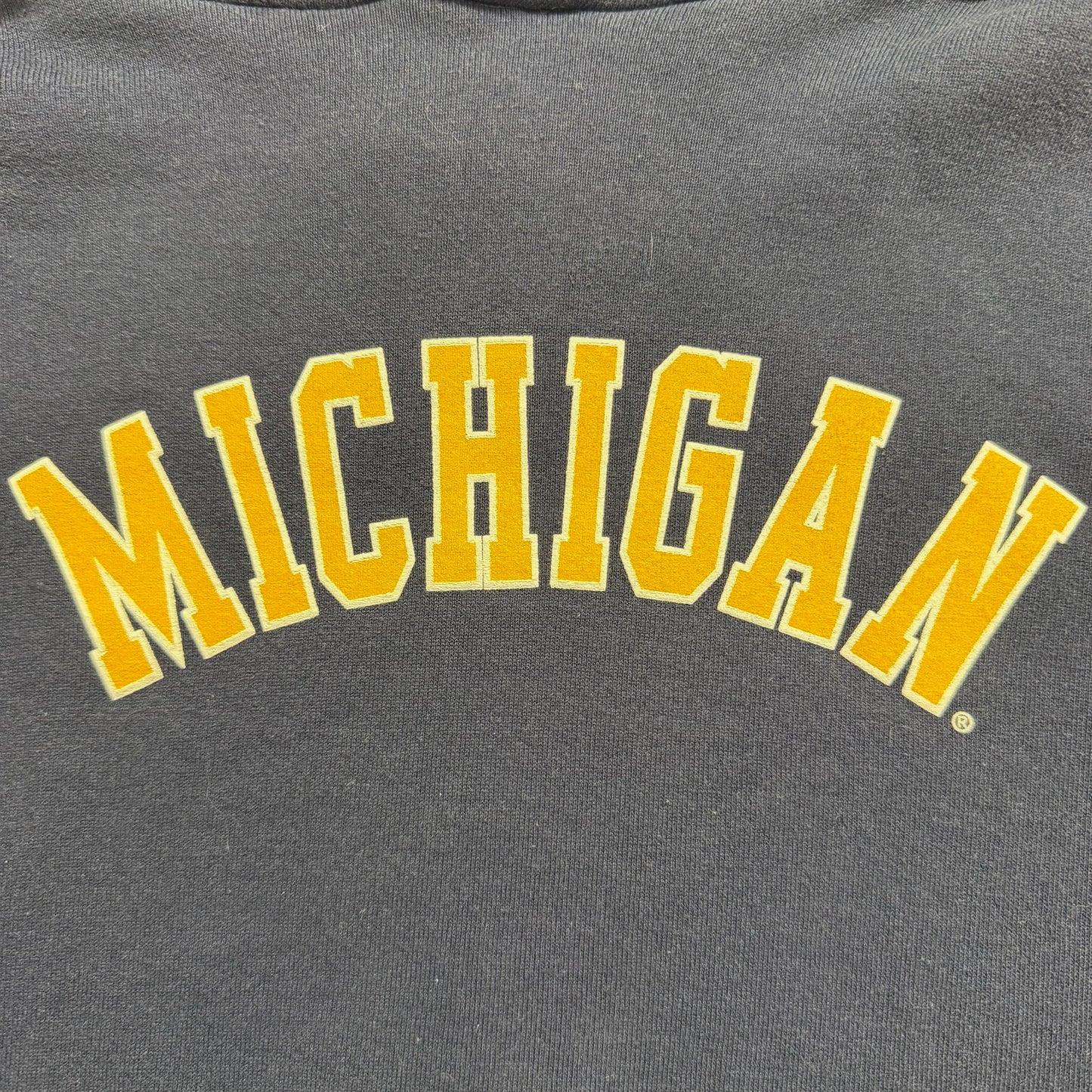 Michigan Screen Print Hoodie