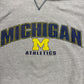 Michigan Screen Print Hoodie