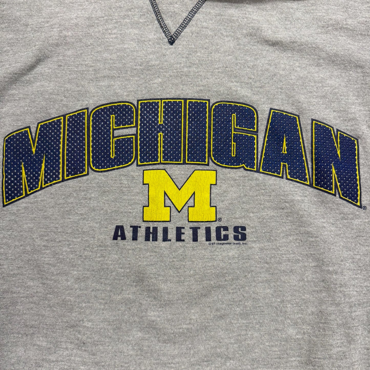Michigan Screen Print Hoodie
