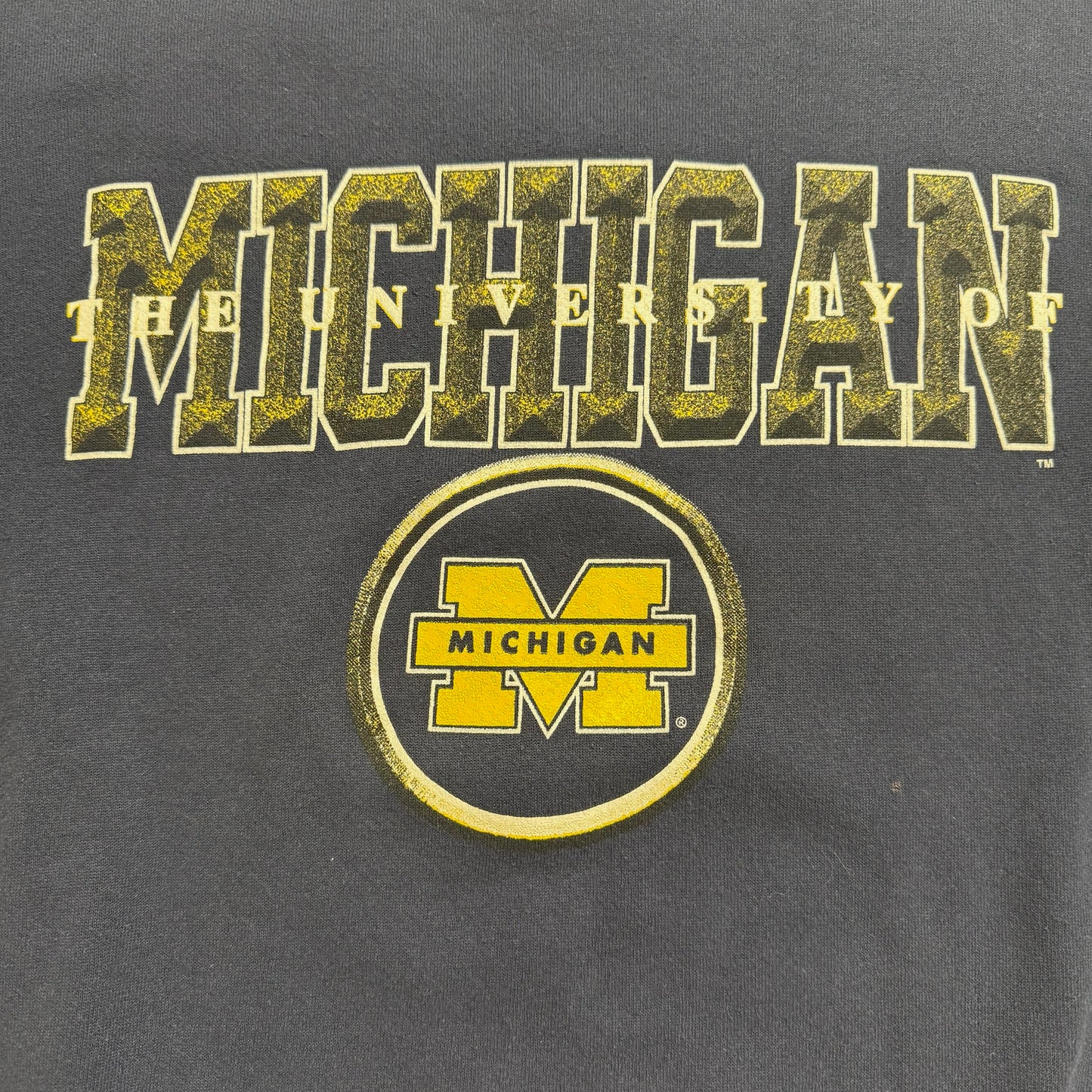 Michigan Graphic Script Crewneck