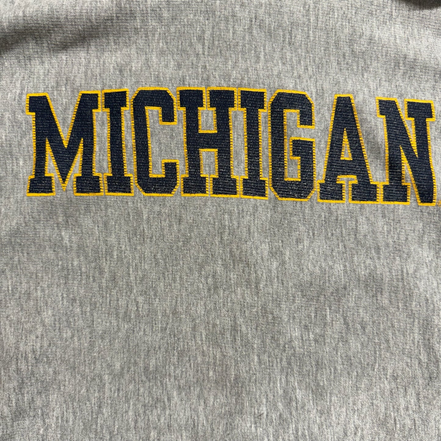 Michigan Script Hoodie