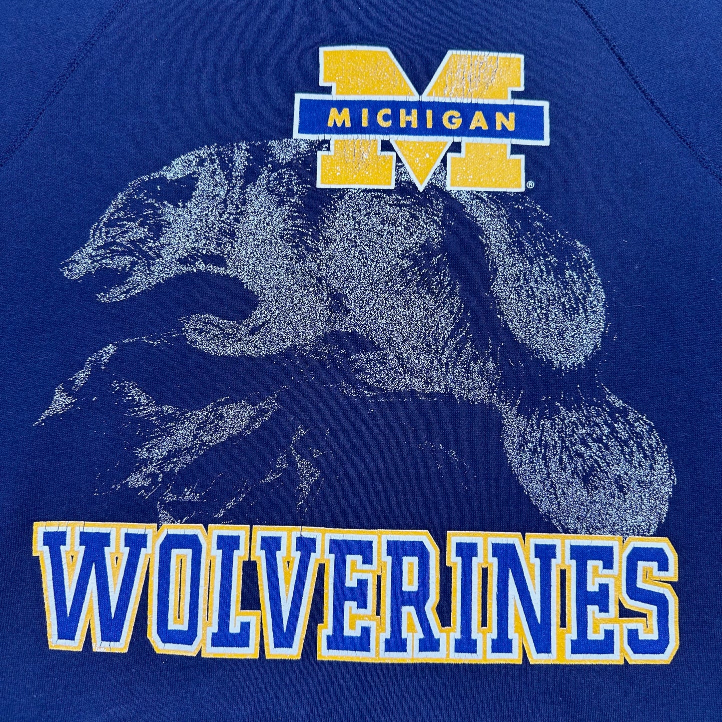 Michigan Graphic Crewneck