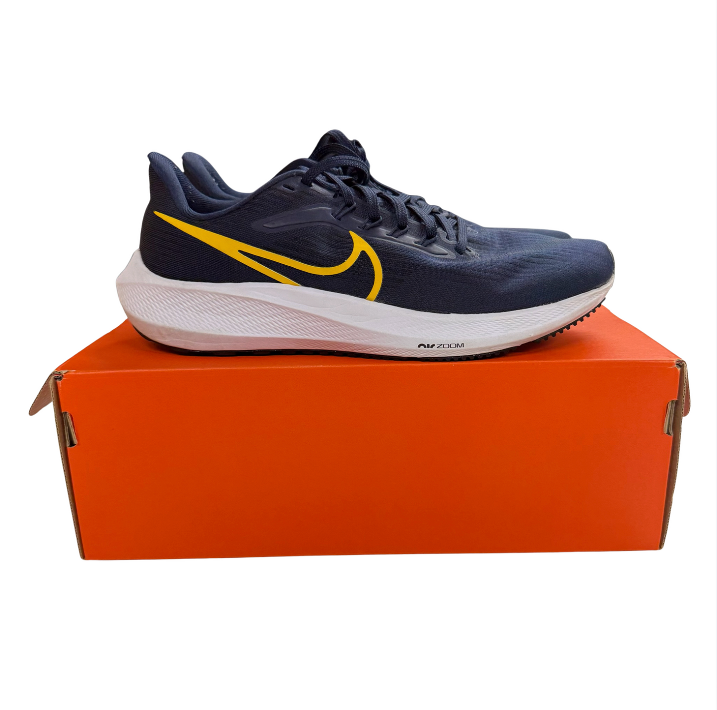 NEW Michigan Nike Pegasus Shoes