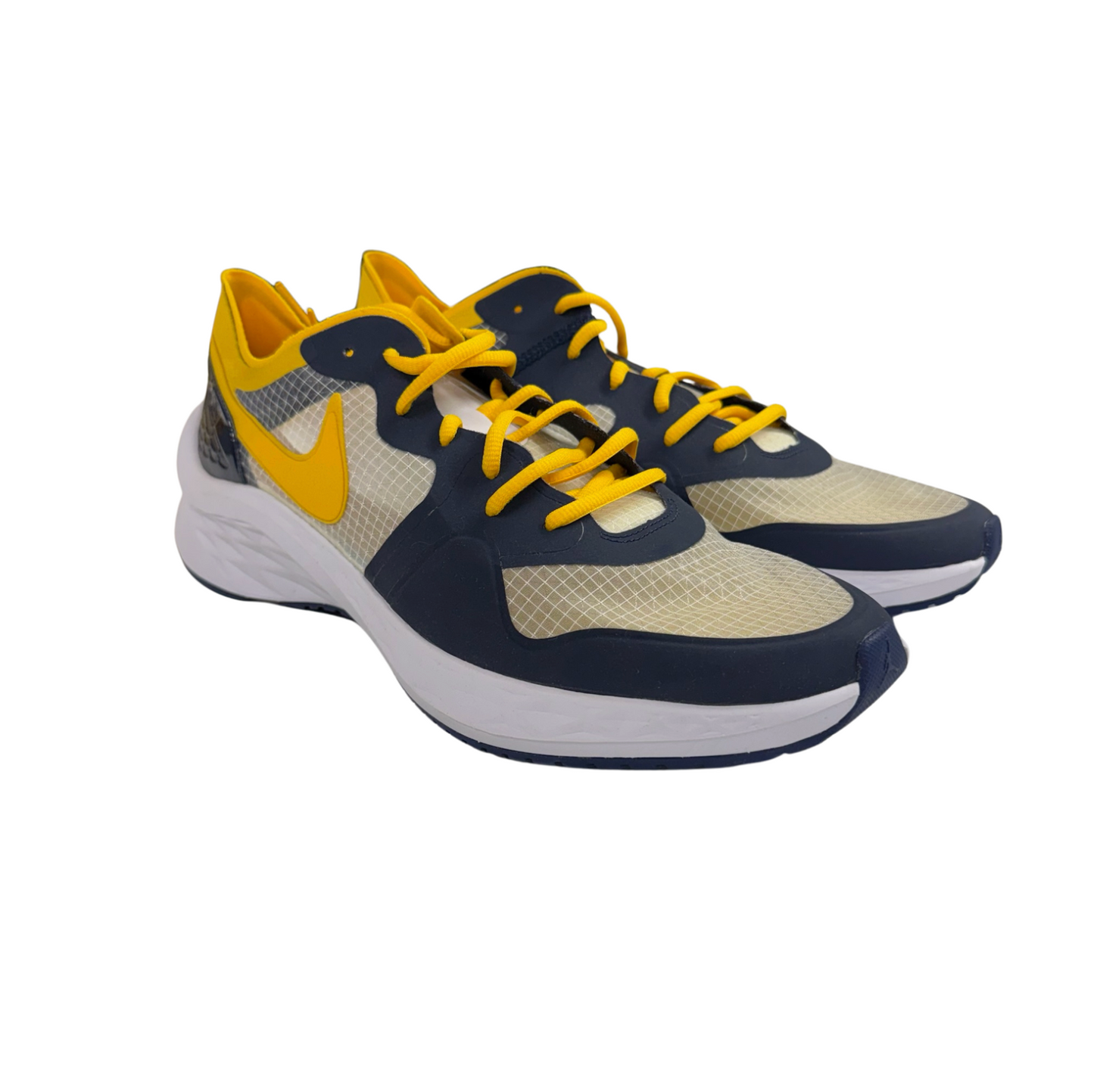 NEW Michigan Jordan Running Shoes