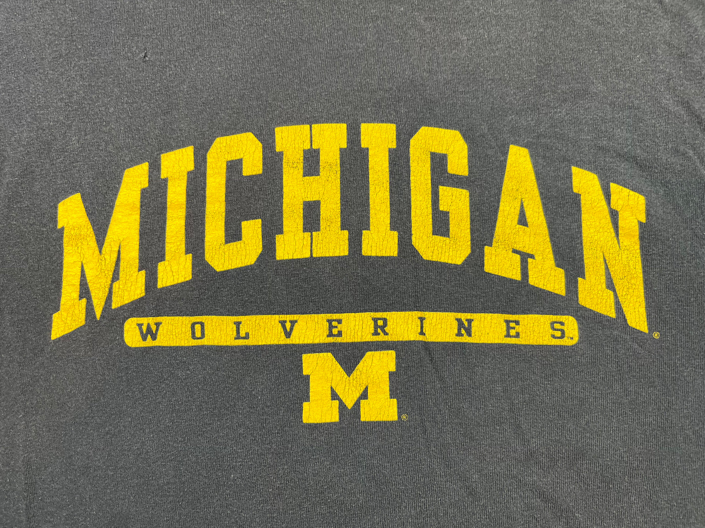 Michigan Script T-Shirt