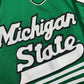 Michigan State Hockey Jersey