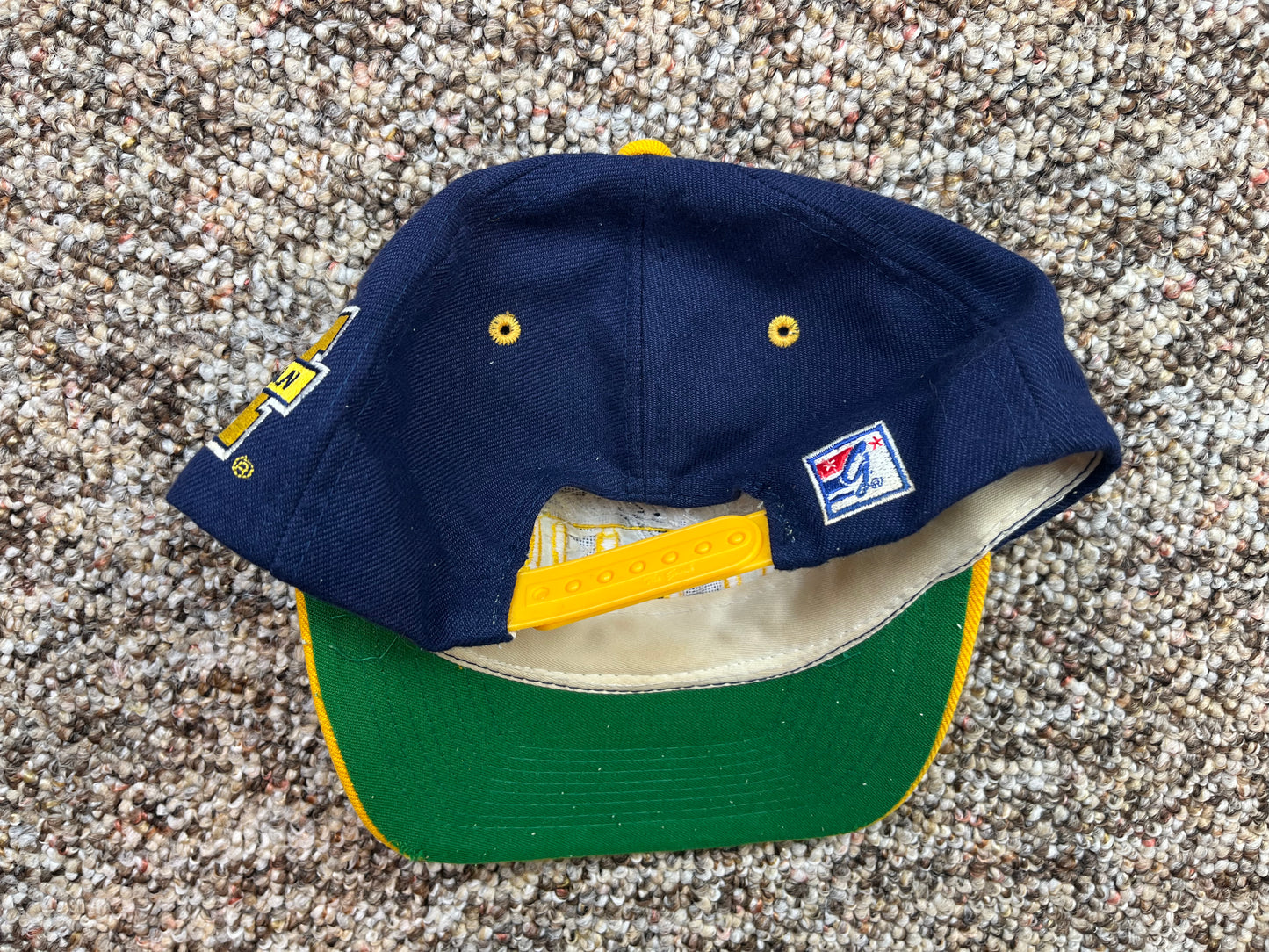 Michigan Snap-Back Hat