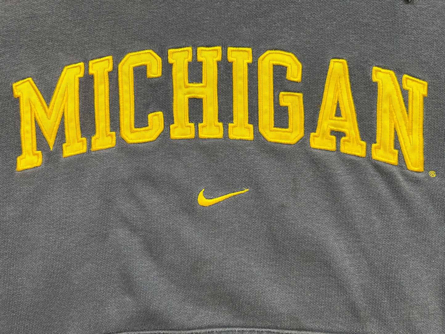 Michigan Centerswoosh Sweatshirt