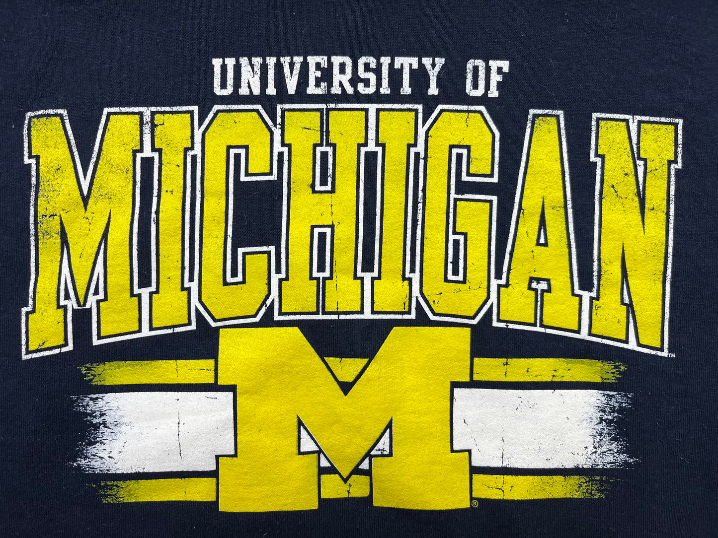 Michigan Print Sweatshirt