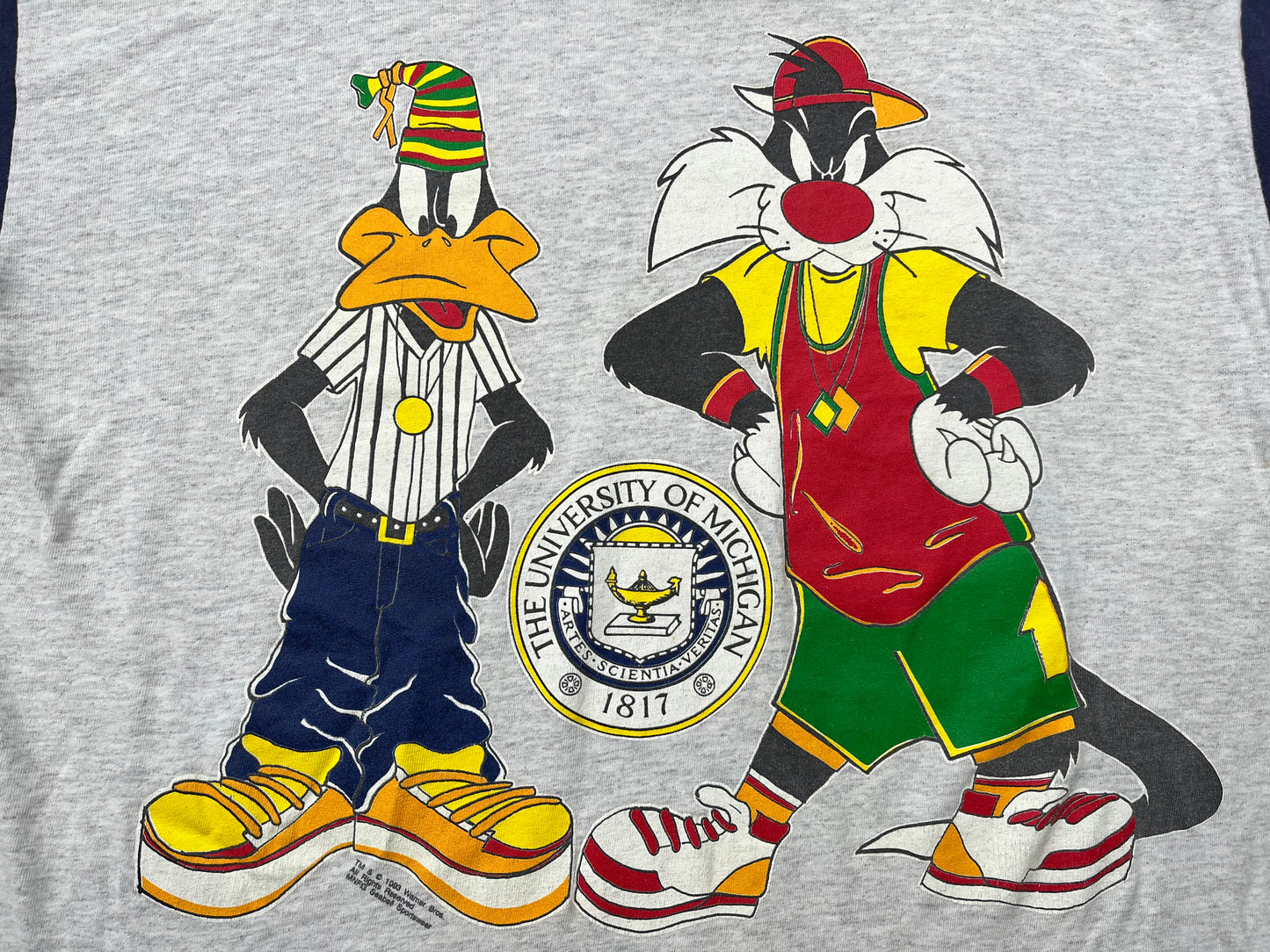 Michigan Looney Tunes Hooded T-Shirt