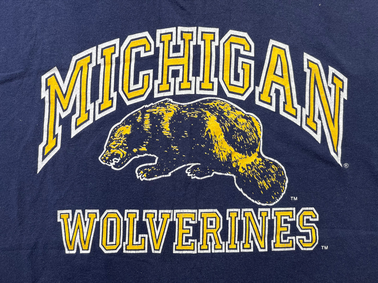 Michigan V Neck T-Shirt